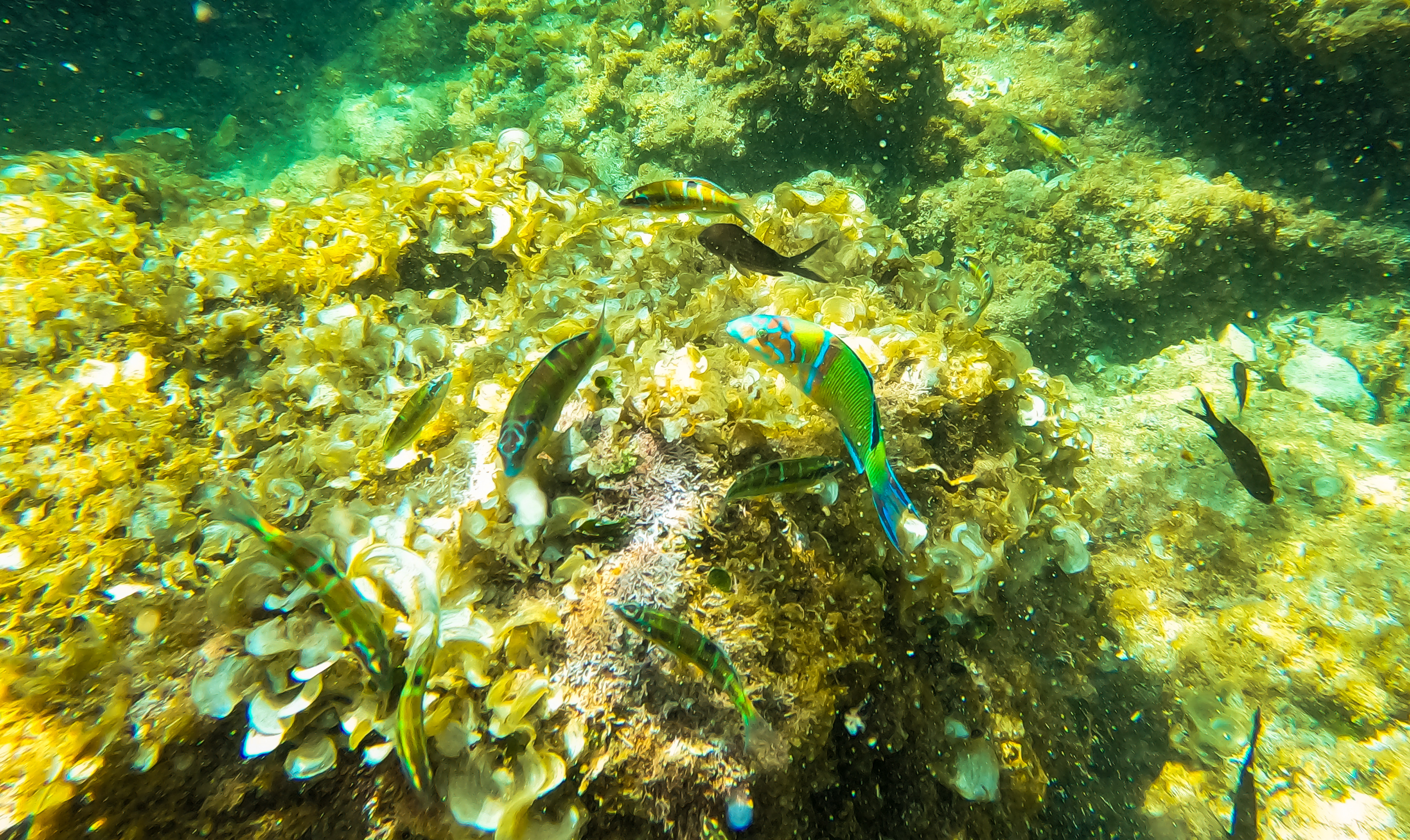 DCIM100GOPROGOPR0354.JPG